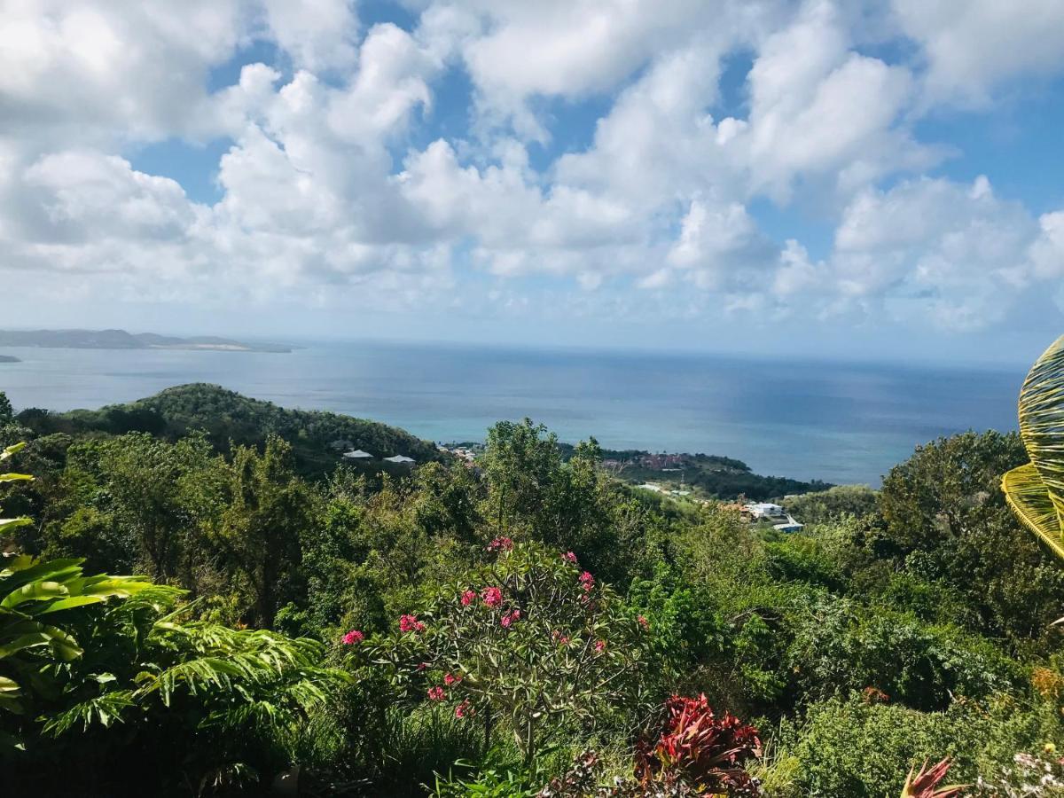Appartement Prive Eco-Responsable, Vue Sur La Mer Des Caraibes Et Jardin Clos, Wifi, A 2Mn De La Plage Sainte-Luce Dış mekan fotoğraf