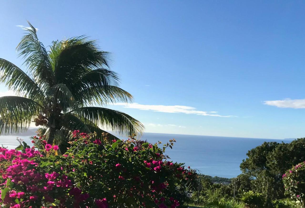 Appartement Prive Eco-Responsable, Vue Sur La Mer Des Caraibes Et Jardin Clos, Wifi, A 2Mn De La Plage Sainte-Luce Dış mekan fotoğraf